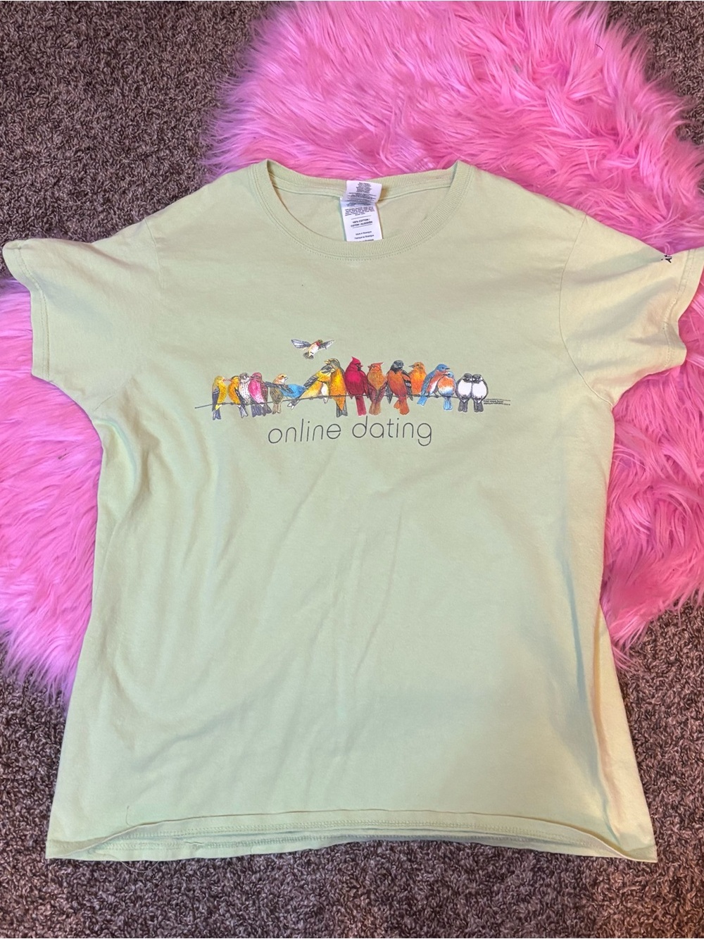Funny Bird “Online Dating” Graphic Tee Sage Green Gildan Medium Vintage 90s